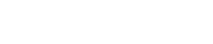 Dashbit logo